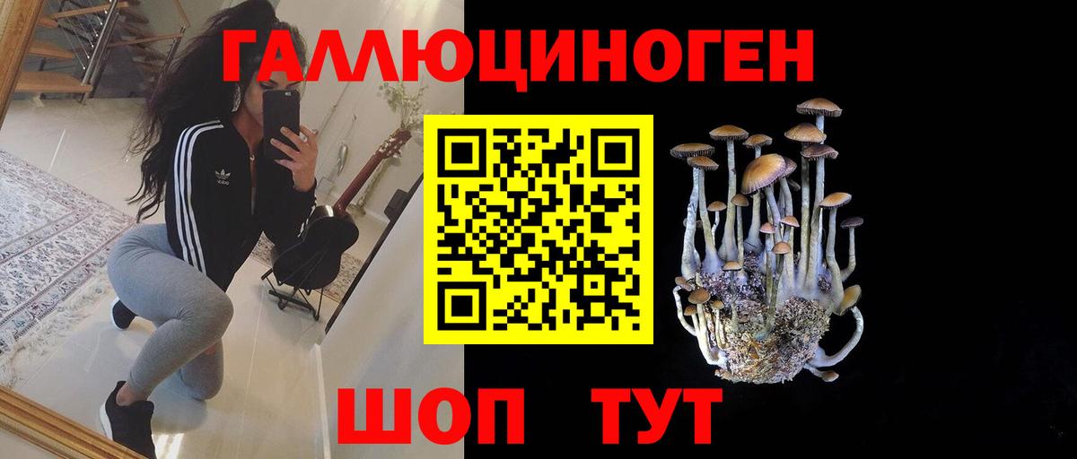 Егорьевск  Псилоцибиновые грибы мицелий  Вход с VPN 